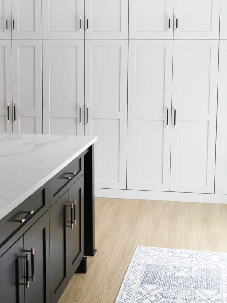 This Minneapolis-St. Paul Kitchen highlights a seamless contrast between matte black cabinetry and bright white full-height pantry cabinets, anchored by light wood flooring and a soft geometric area rug.