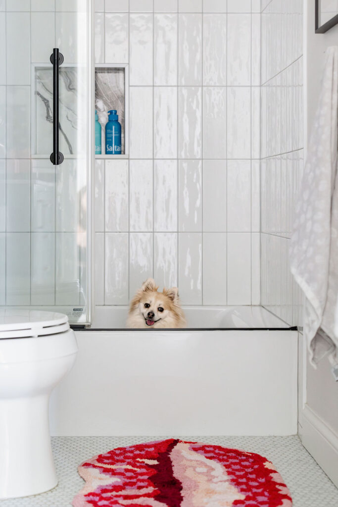 Playful Minneapolis-St. Paul bathroom with vertical white tile, built-in shower niche, and a fluffy light brown Pomeranian dog, with a shite smiling face, peeking from the tub beside a lips-shaped rug.